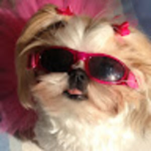 Meet your Posher, Sharee